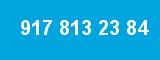 917 813 23 84